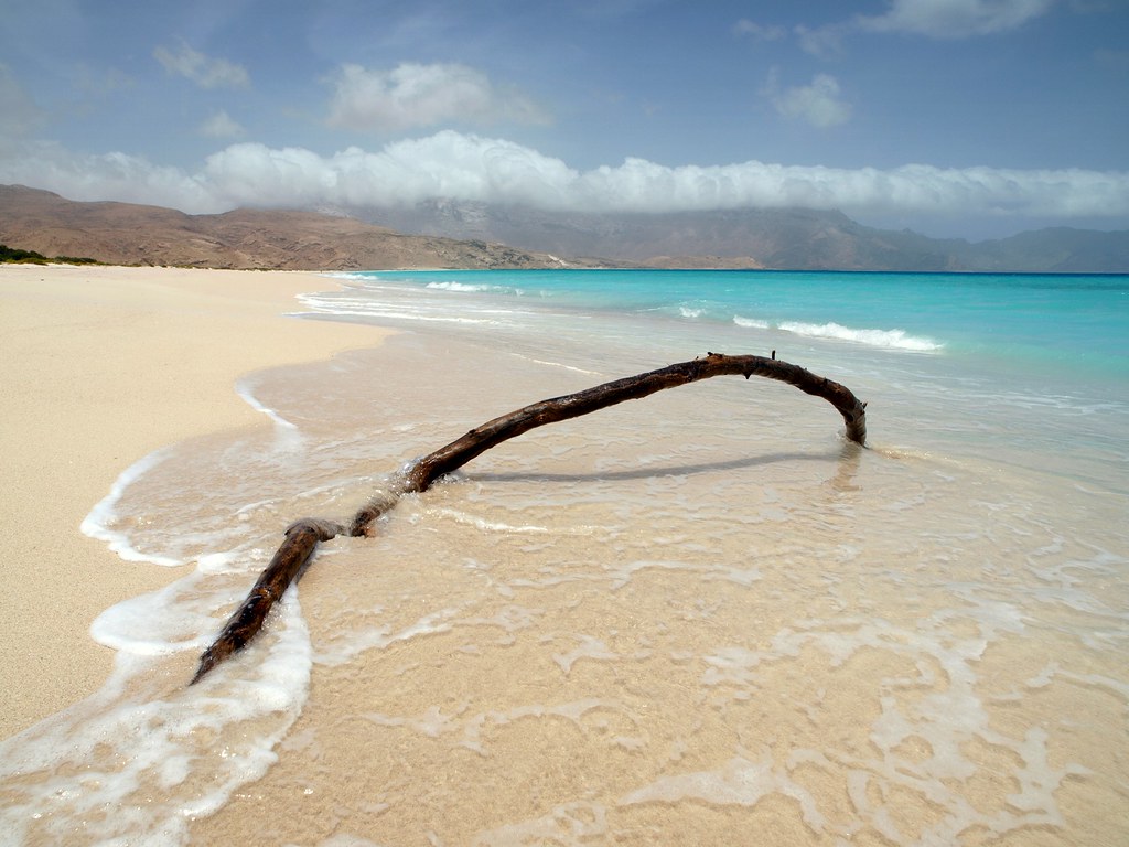 SOCOTRALOVER Travel Team in Socotra Island
